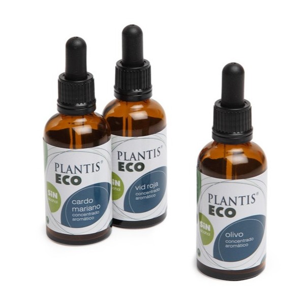 Extracto Ginkgo ECO 50ml